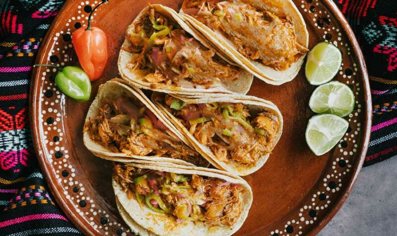Pulled pork soft tacos on a plate